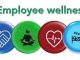 A Deep Dive Into Allied Benefit’s Wellness Programs